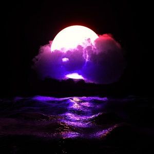 Meet your Posher, Benjamin